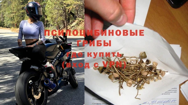 эйфоретик Михайловск
