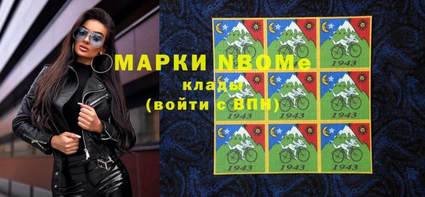 гидра Михайловка