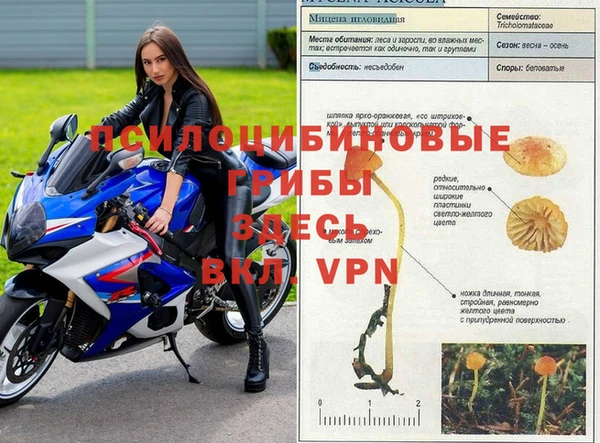 мяу мяу кристалл Михайлов