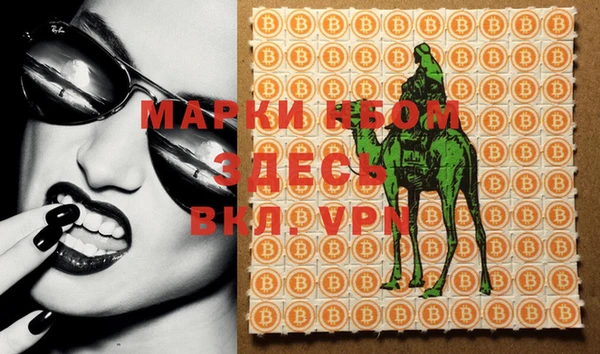 гидра Михайловка