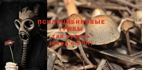 mdpv Мегион