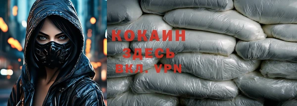 гидра Михайловка